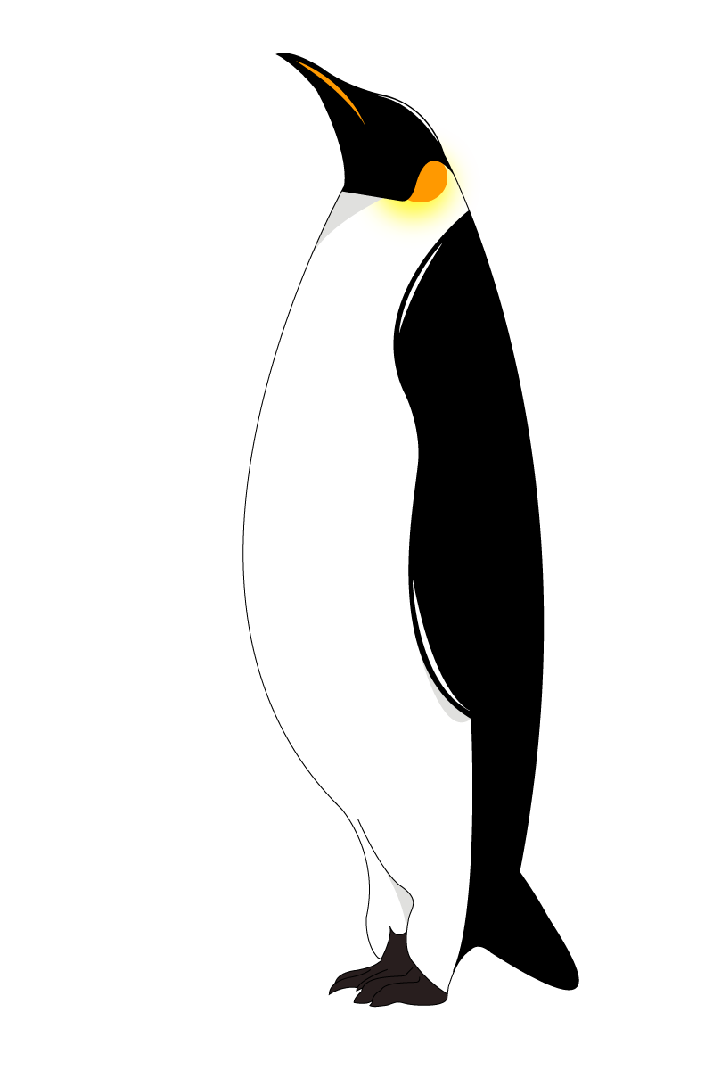 これまでで最高のペンギン イラスト 最高の動物画像
