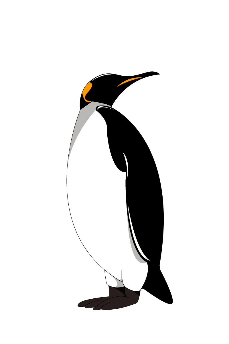 ペンギンイラスト 3 無料ホームページイラスト素材 Black Shiva